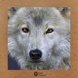White Wolf T-Shirt Women