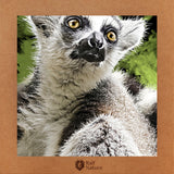Lemur T-Shirt Women