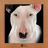 Bull Terrier T-Shirt