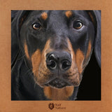 Doberman T-Shirt